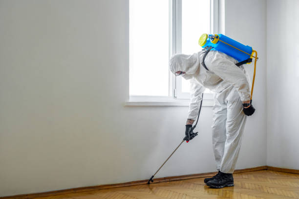 Professional Pest Control in South Burlington, VT
