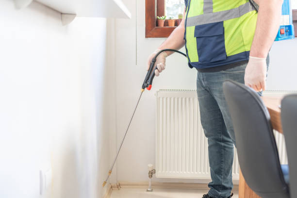 Best Pest Control Near Me  in South Burlington, VT